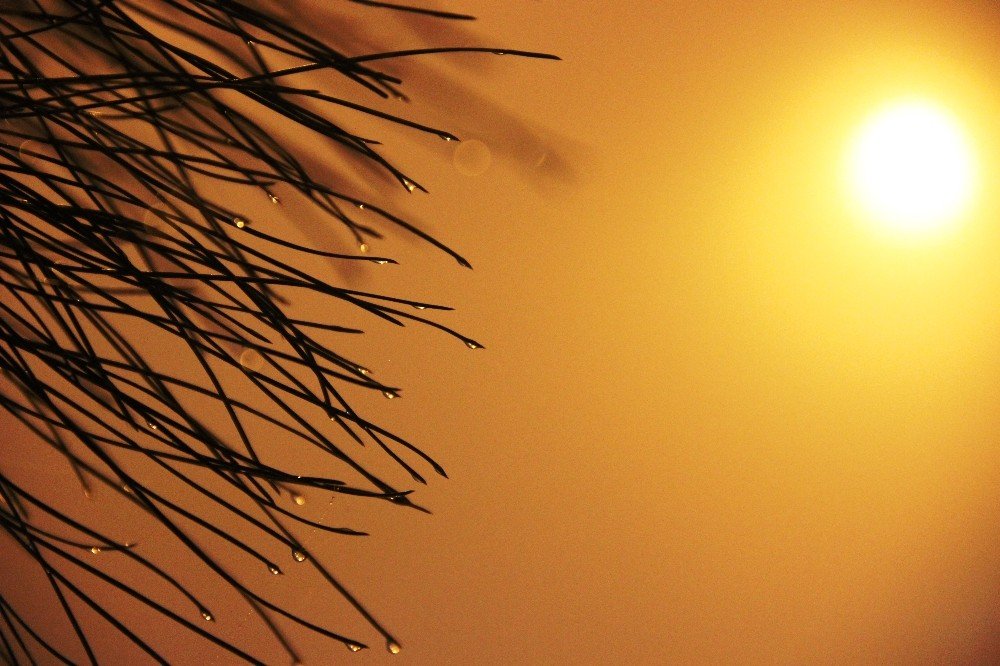 Manisa’da Etkili Olan Sis Sürücülere Zor Anlar Yaşattı