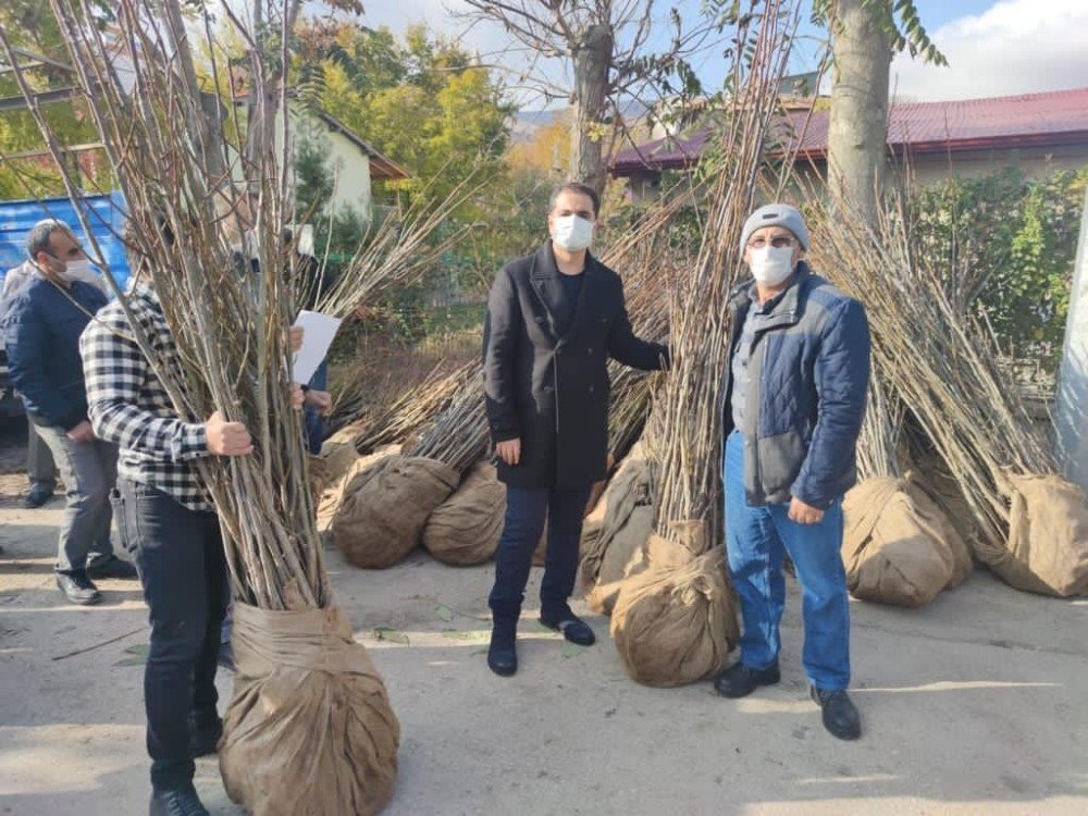 Tunceli’de Köylere Ceviz Ve Badem Fidanı Dağıtımı