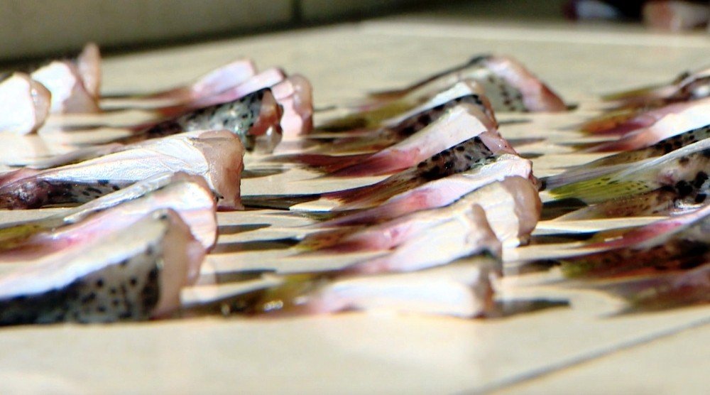 Antalya’da İlk Günde 2 Bin Kuyruk Toplandı