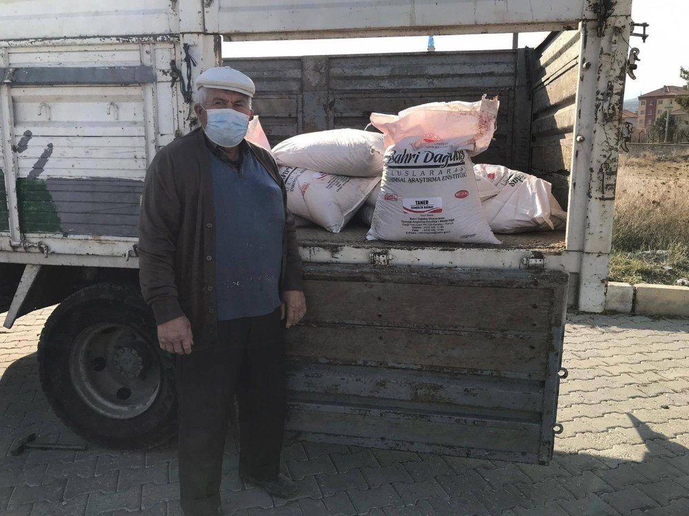 Altıntaş’ta Alternatif Buğday Üretimi