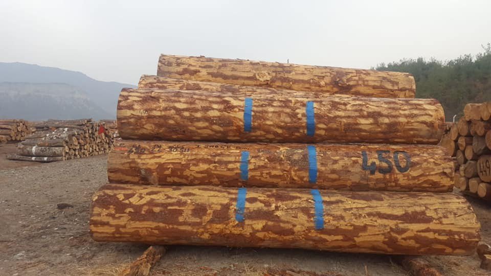 7 Bin 213 Metreküp Orman Emvali 3 Milyon 341 Bin 462 Tl’ye Satıldı