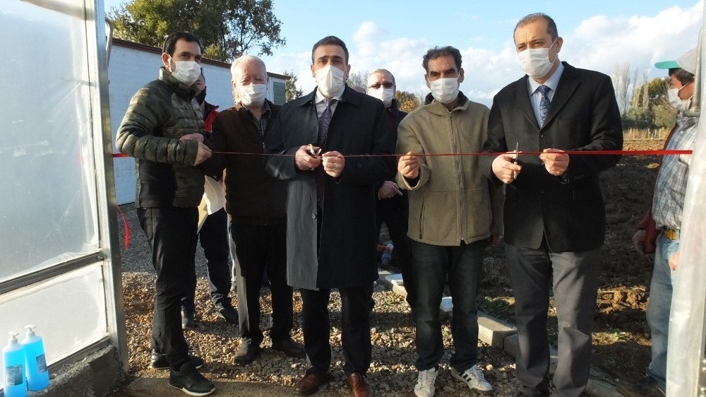 Balıkesir’de Topraksız Çilek Üretimine Başlandı
