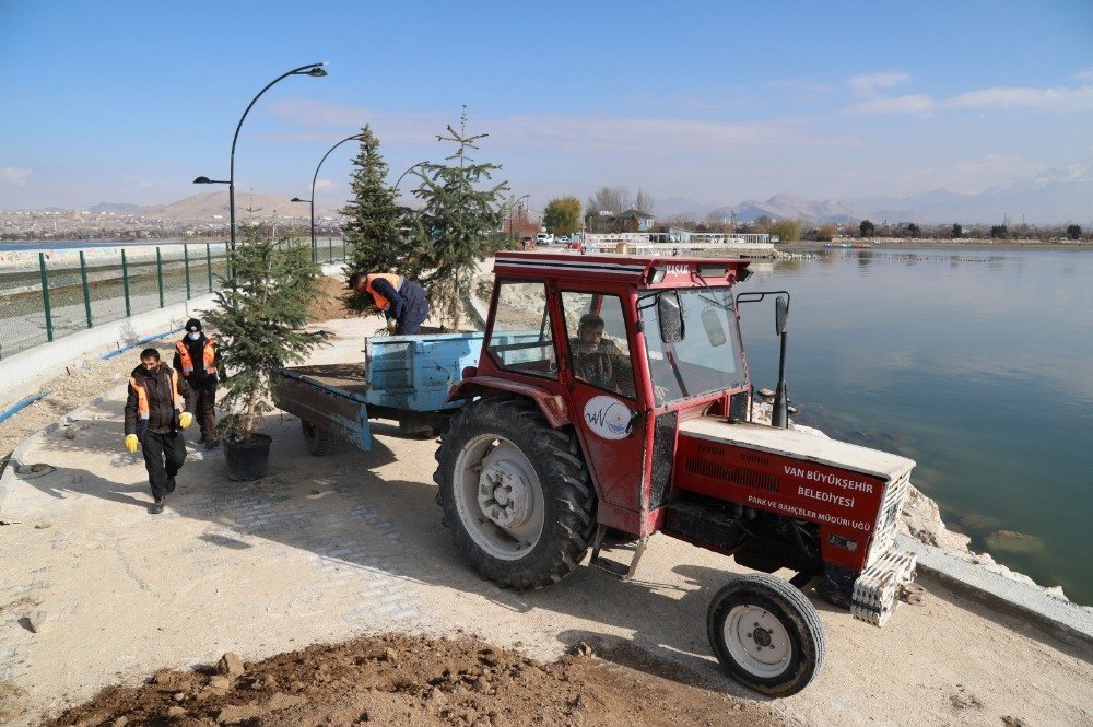 İskele Sahil Kordonunda Peyzaj Çalışması
