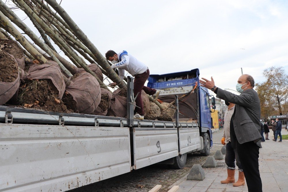 Akçakoca Belediyesi Daha Yeşil Bir İlçe İçin Çalışıyor