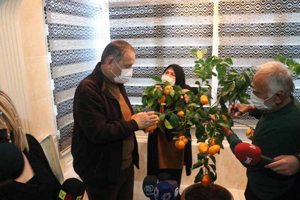 Balkonda Yetiştirdi, Özhaseki’ye İkram Etti