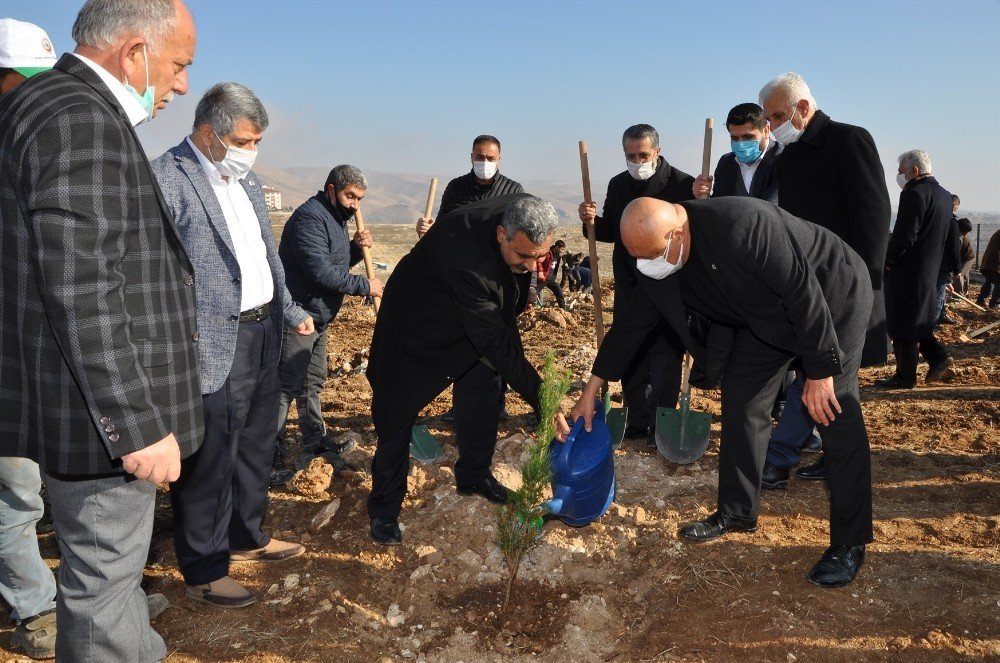 Batü’de 10 Bin Fidanlık Şehit Yasin Börü Ormanı Oluşturuldu