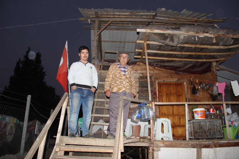 Korona Virüs, Yaşamlarını Değiştirdi