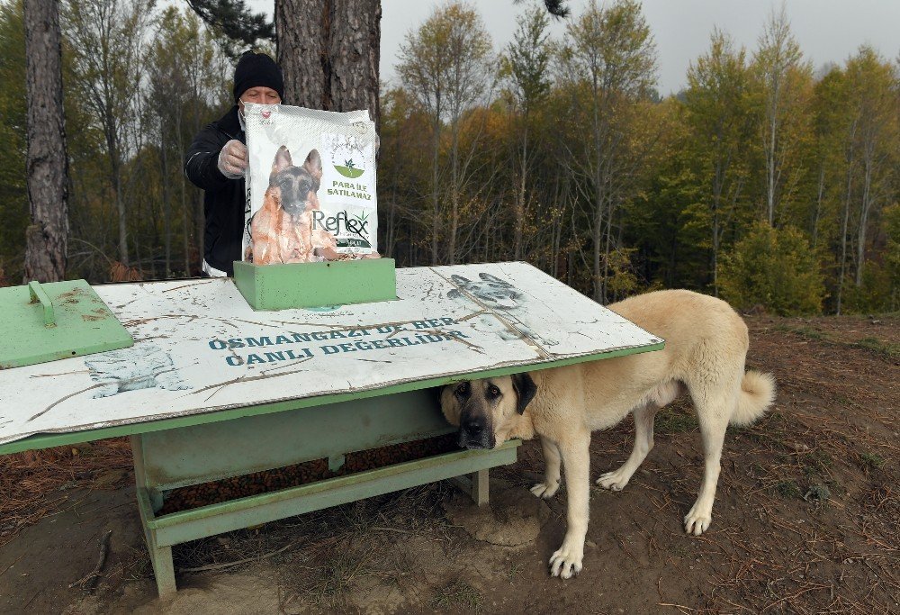 Korona Virüse Karşı Üstün Mücadele