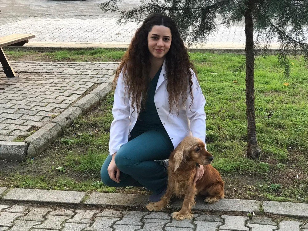 Meme Tümörü Teşhisi Konulan ‘kukiş’ Sağlığına Kavuştu