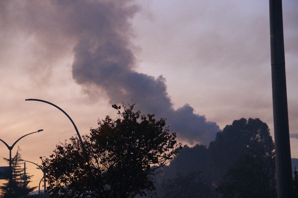 Bu Baca, İlçenin Kabusu Olmaya Başladı