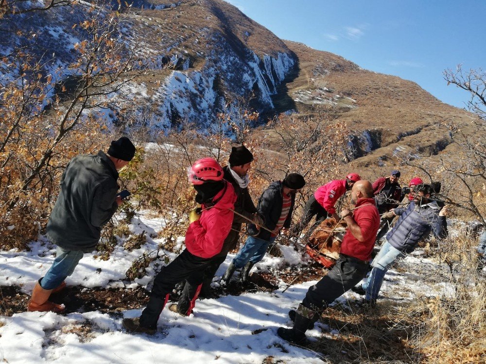 Vadiye Yuvarlanan Gebe İnek 2 Gün Sonra Bulundu, Ekipler 9 Saatte Kurtardı
