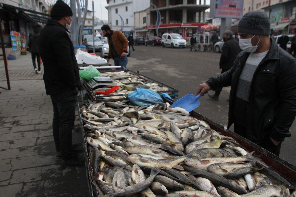 Malazgirt’te Balık Bereketi