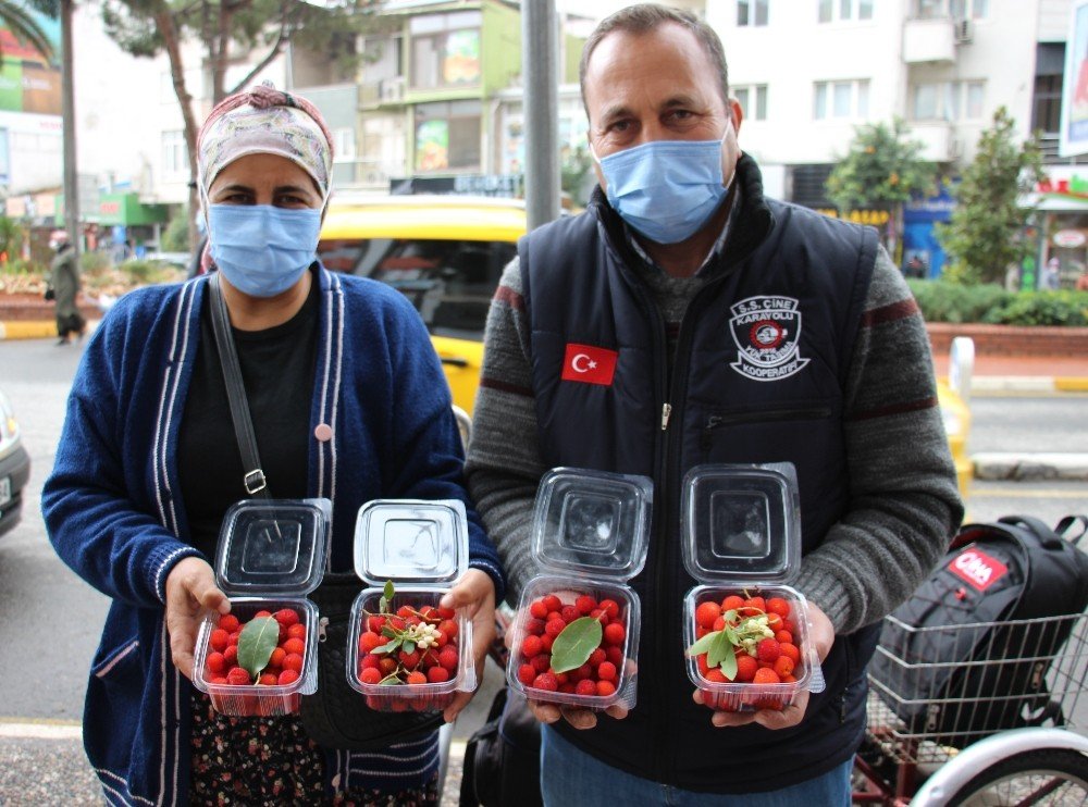 Korona Virüs Dağ Çileğine Olan İlgiyi Arttırdı