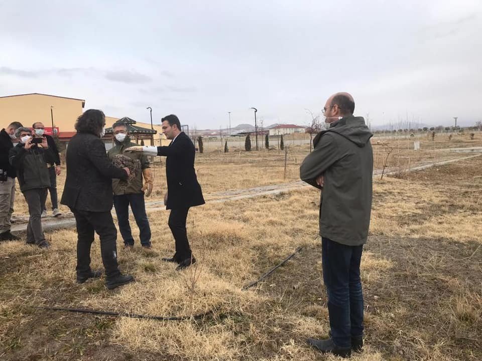 Tedavileri Tamamlanan Kuşlar Özgürlüğüne Kavuştu