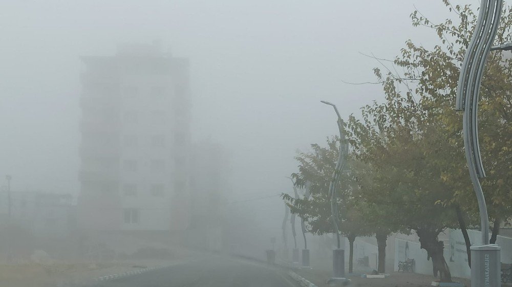 Gercüş’te Yoğun Sis Sürücülere Zor Anlar Yaşattı