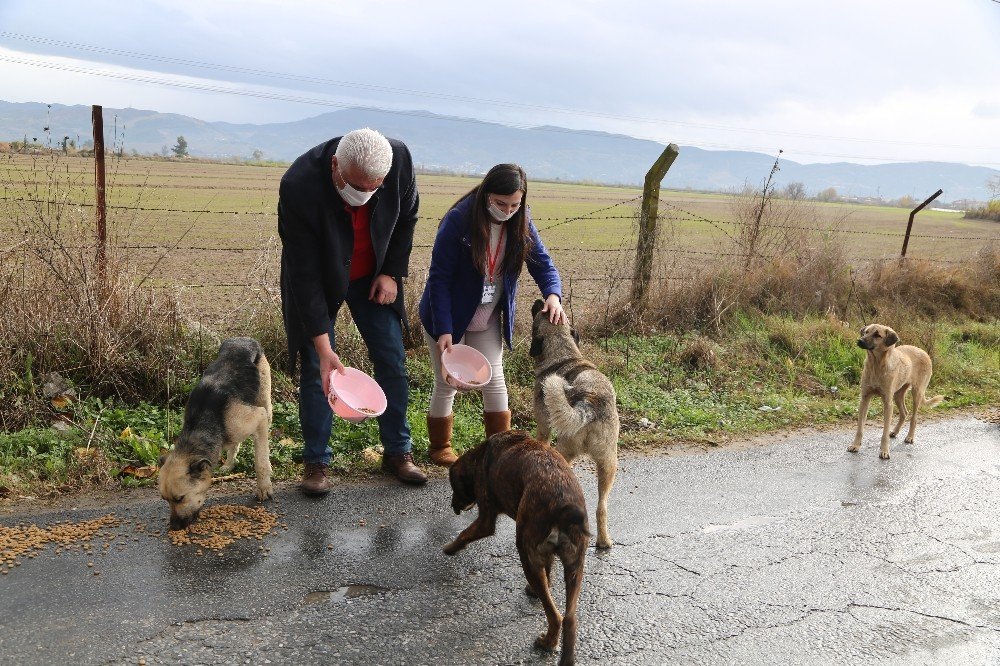 Efeler Belediyesi Can Dostları Unutmadı