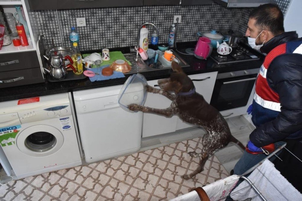 Köpek Timi İle Uyuşturucu Operasyonu: 4 Gözaltı
