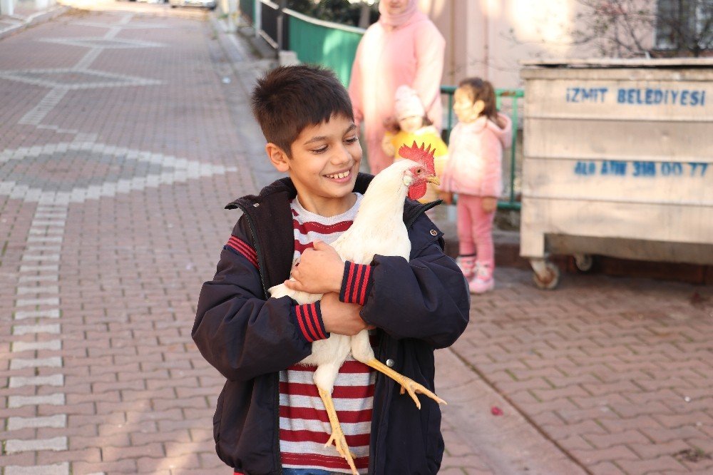 İtfaiyeden ’horoz’ Kurtarma Seferberliği