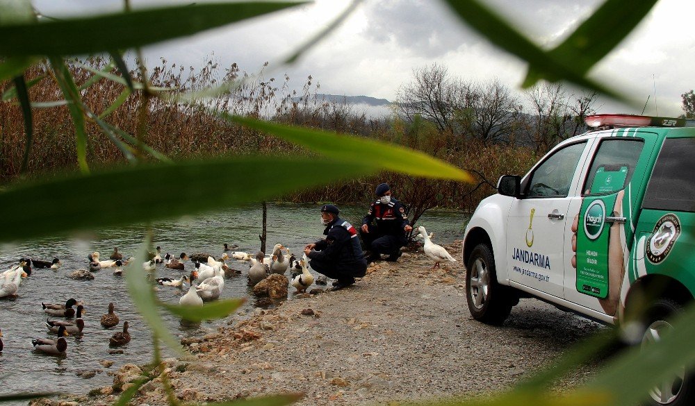 Can Dostlar Jandarmaya Emanet