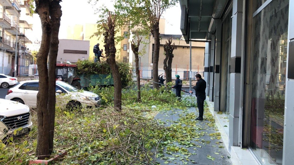 Yenişehir Belediyesi Kısıtlamada Da Hizmetlerini Sürdürdü