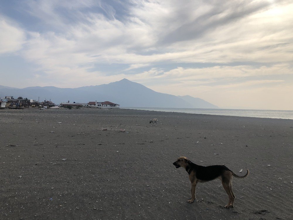 En Uzun Sahil Sokağa Çıkma Yasağında Sessizliğe Büründü