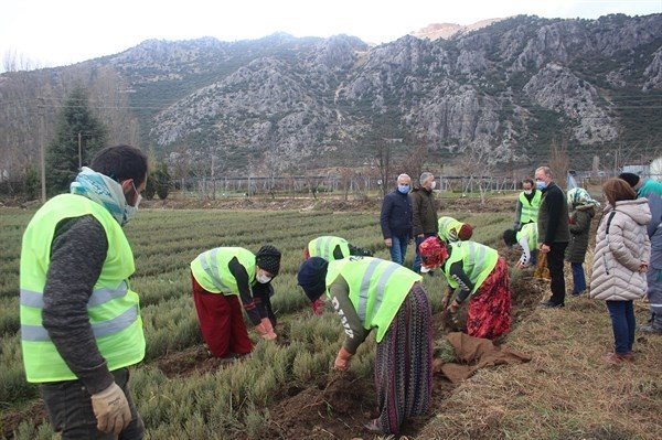 Isparta’da Bu Yıl 42 Türde 6 Milyon 500 Bin Adet Fidan Üretildi