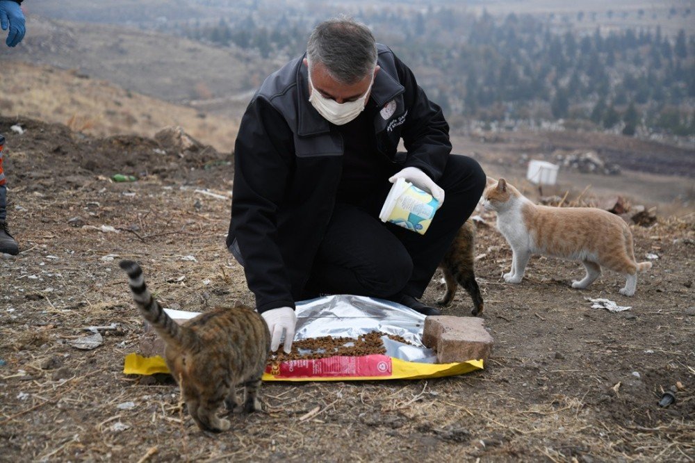 Kayseri İl Tarım Ve Orman Müdürlüğü Soğuk Havalarda Sokak Hayvanlarını Unutmadı