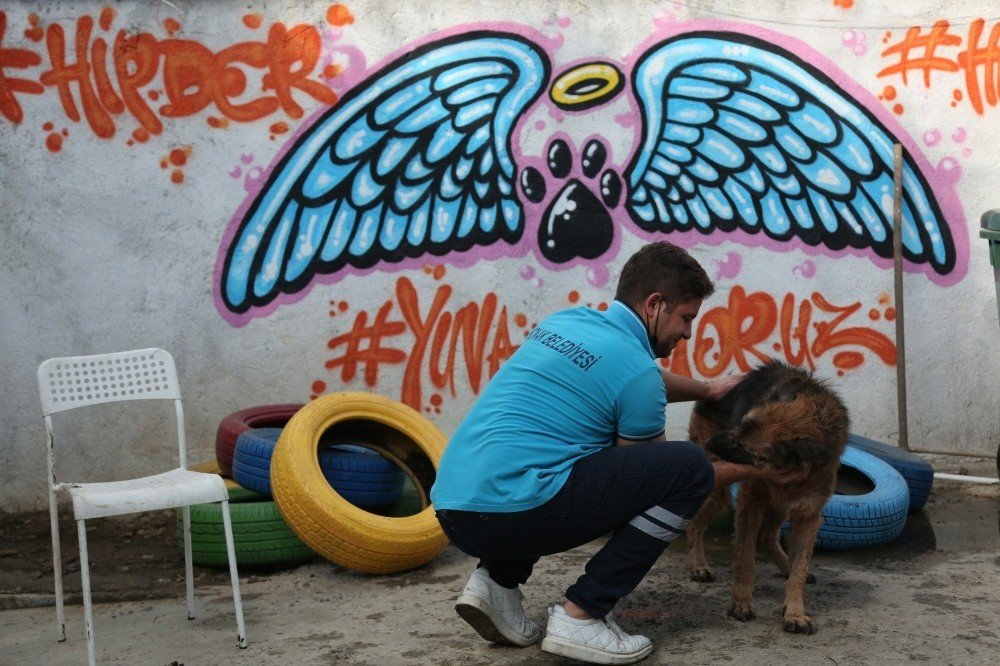 Konak’ta Can Dostlar İçin Stk’larla İşbirliğine Devam