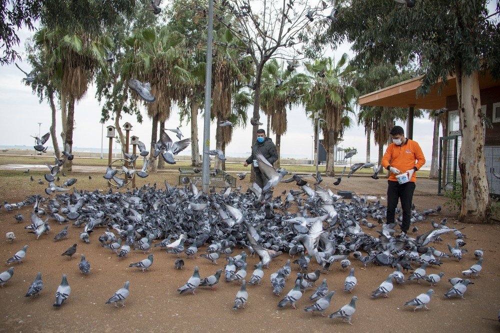 Mersin’de Sokağa Çıkma Yasağında Sokak Hayvanları Unutulmadı