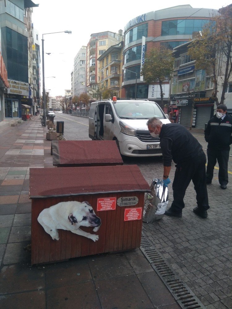 Odunpazarı Belediyesi Sokakta Yaşayan Hayvanları Unutmadı