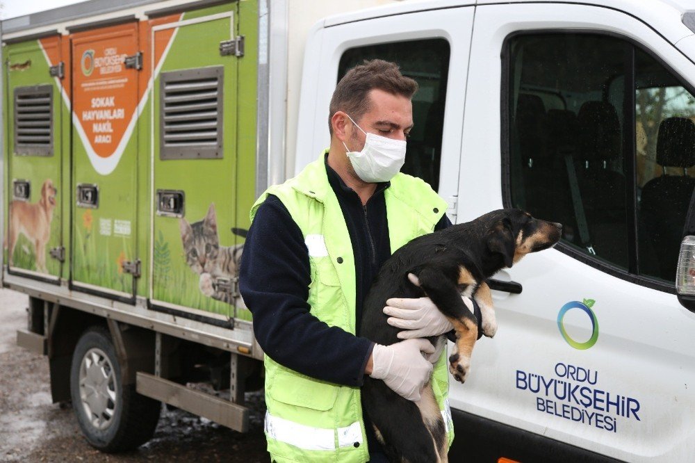 Ordu’da Can Dostlar Unutulmadı