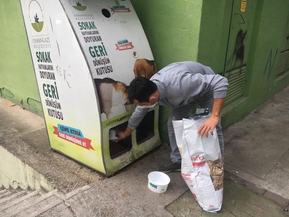 Osmangazi’de Sahipsiz Hayvanlar Besleniyor