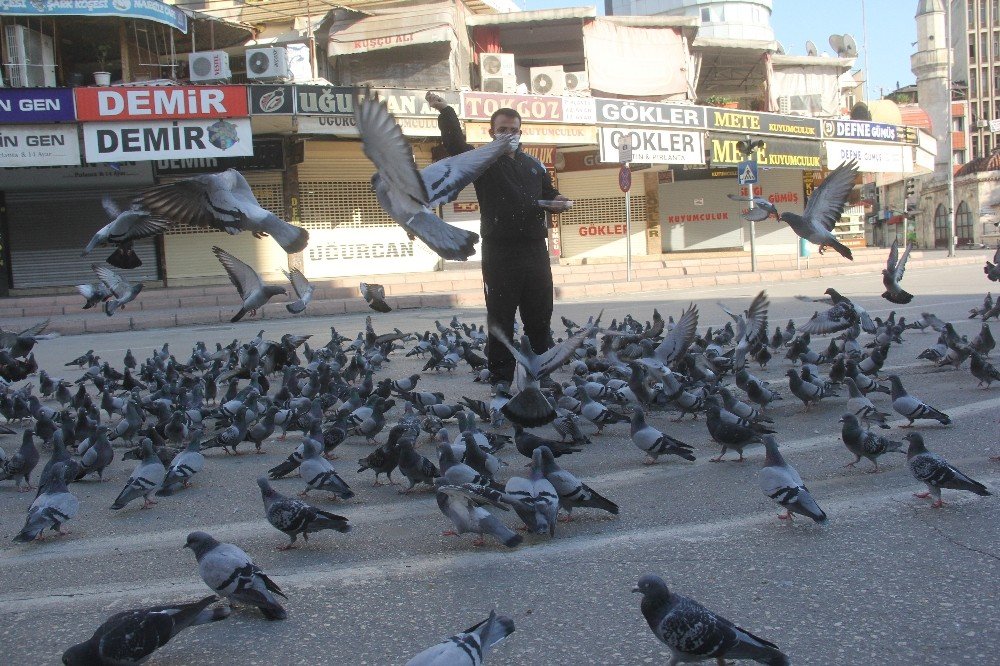 Sokağa Çıkma Kısıtlamasında Güvercinleri Besledi