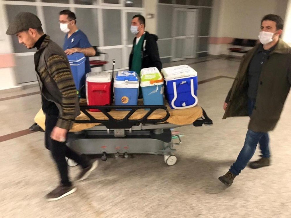 Beyin Ölümü Gerçekleşen Hastanın Organları 3 Kişiye Umut Oldu