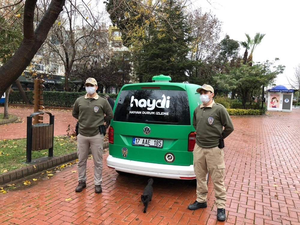 Çanakkale’de Sokak Hayvanları Polise Emanet