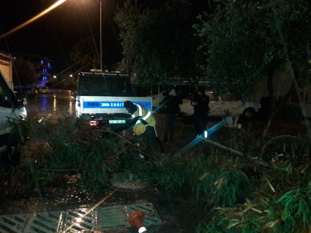 Didim’deki Parklarda Temizlik Çalışmaları Devam Ediyor