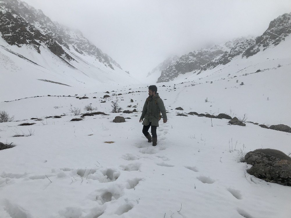 Doğu Anadolu’da Kar, Kış