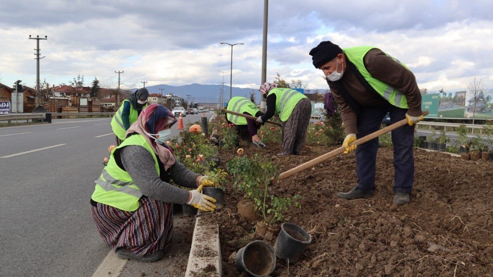 Refüjler Çiçekleniyor