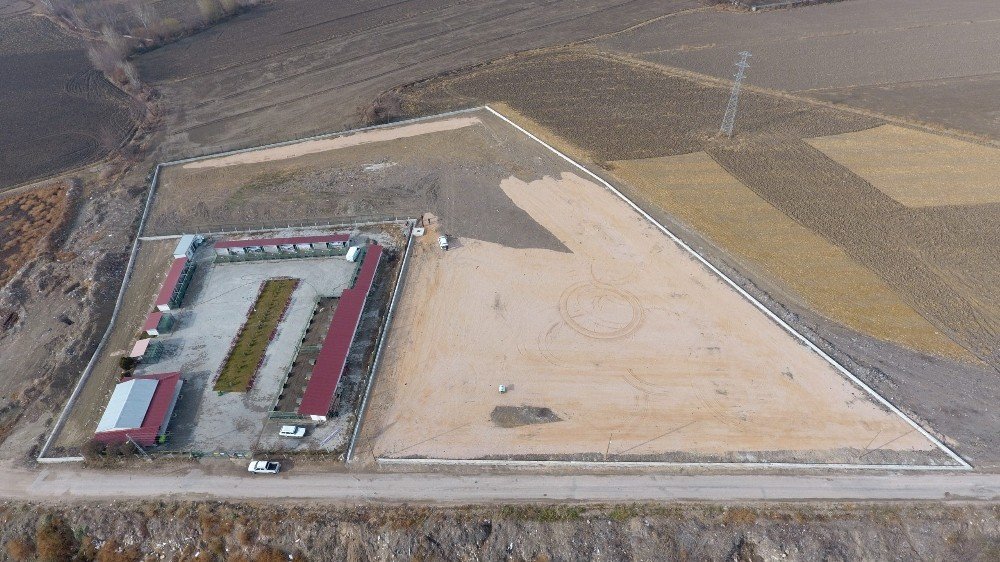 Suluova’da Can Dostlar İçin Mevcut Alan 3 Katına Çıkarılıyor