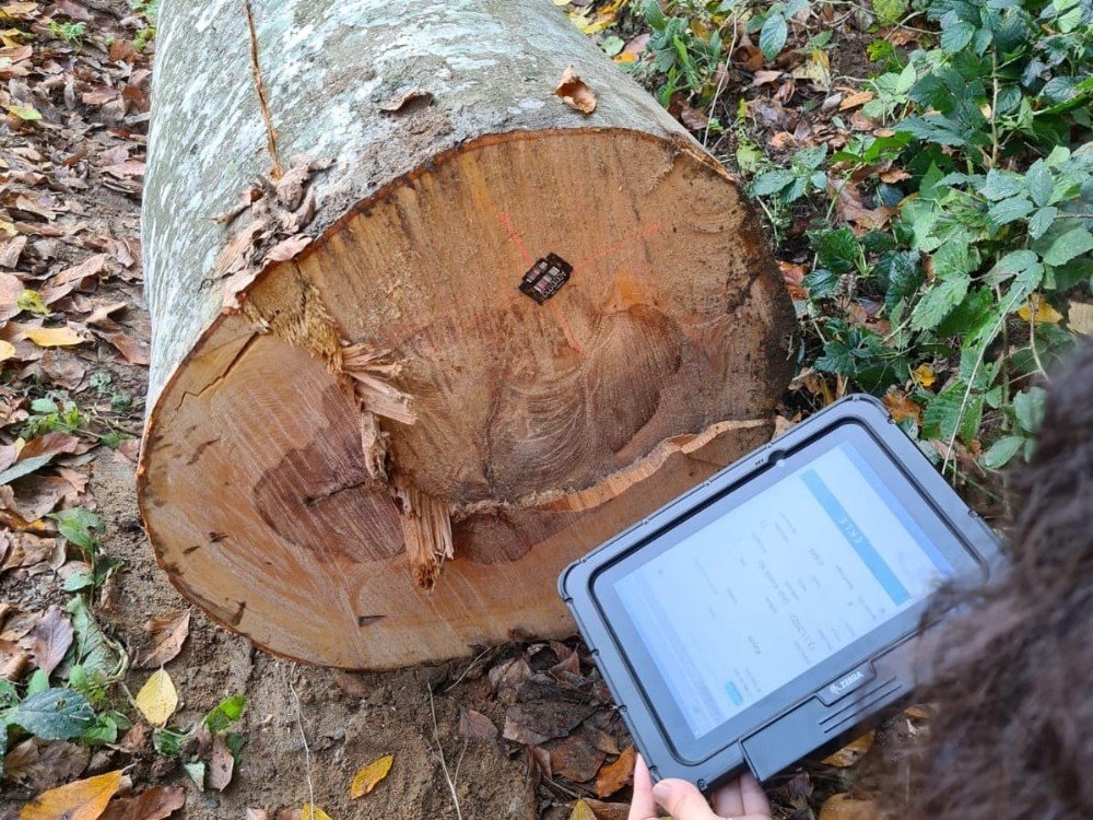 Ormanda ’barkod’ Sistemi