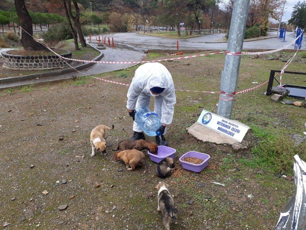 Salihli’de Kısıtlama Fırsata Çevrildi