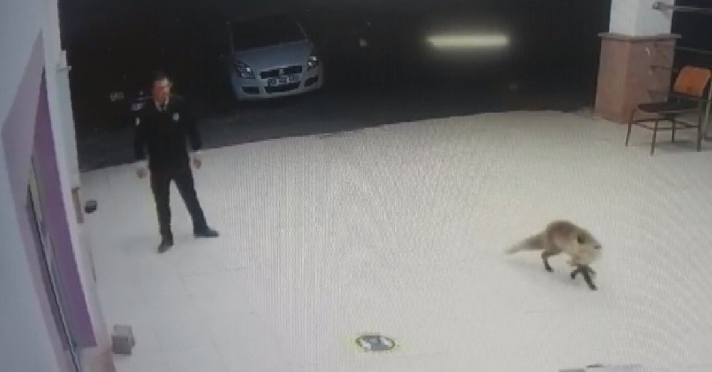 ’besle Tilkiyi, Çalsın Anahtarını’