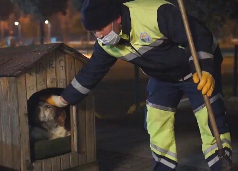 Siz Evde Kalın, Onlar Bize Emanet