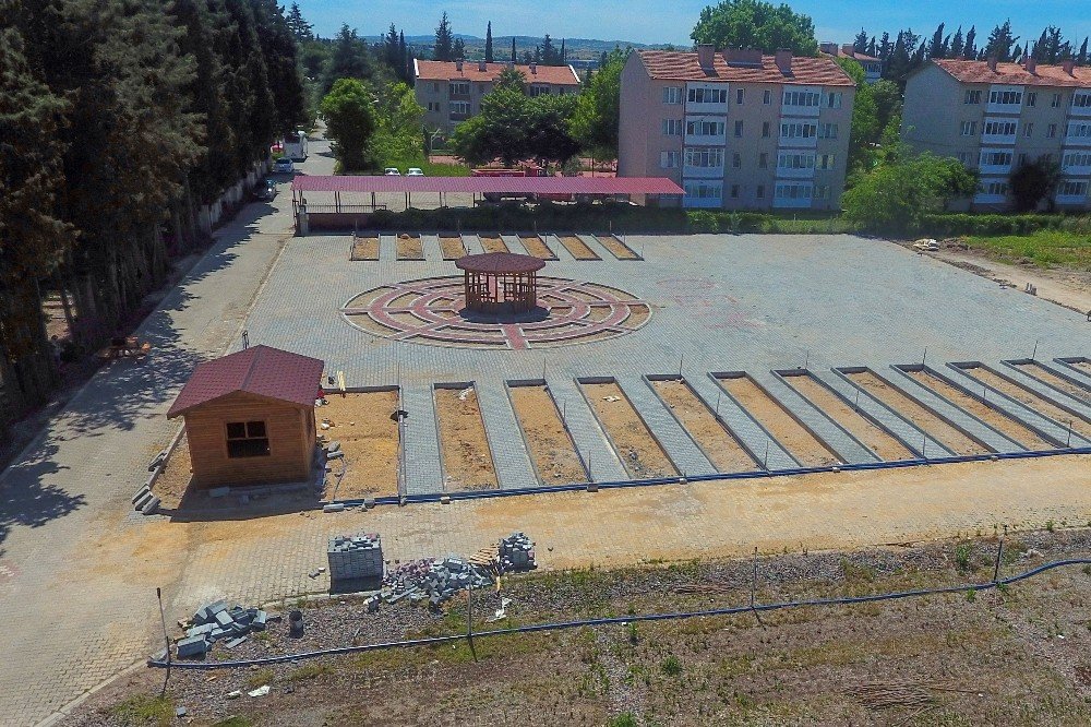 Vatandaşlar Fidan Ve Süs Bitkilerini Reyondan Seçerek Alacaklar