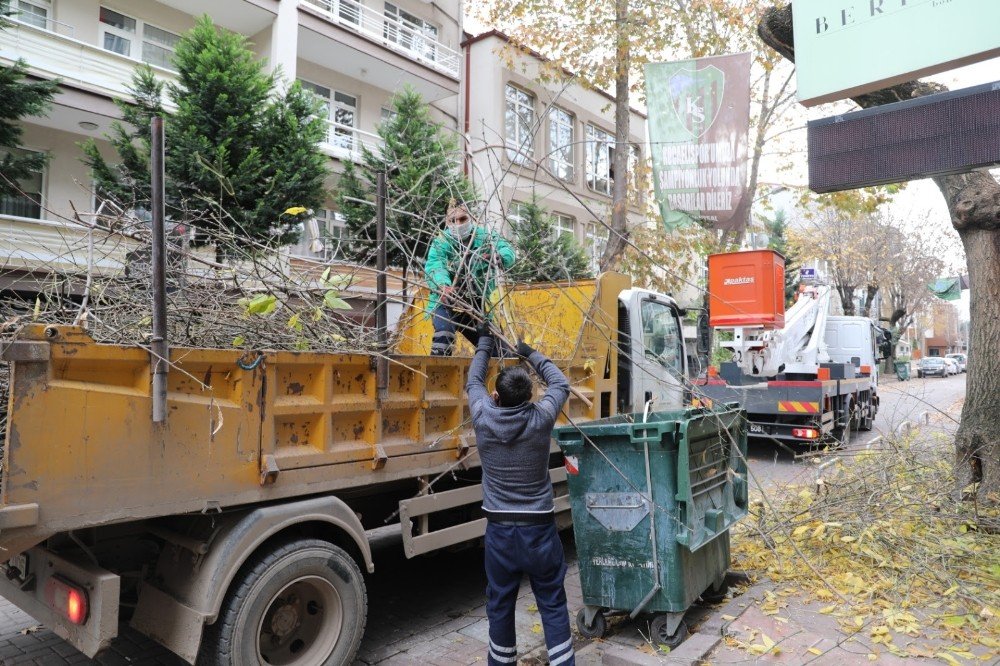 İzmit’te Budama Çalışmaları Devam Ediyor