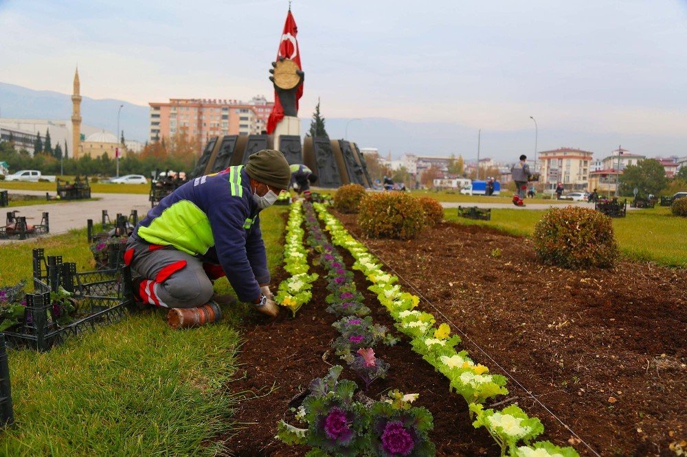 Kahramanmaraş Çiçeklerle Renkleniyor