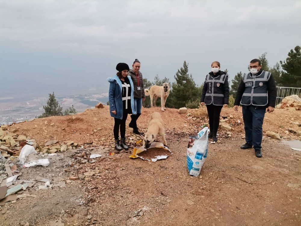 Polisten Sokak Hayvanlarına Mama