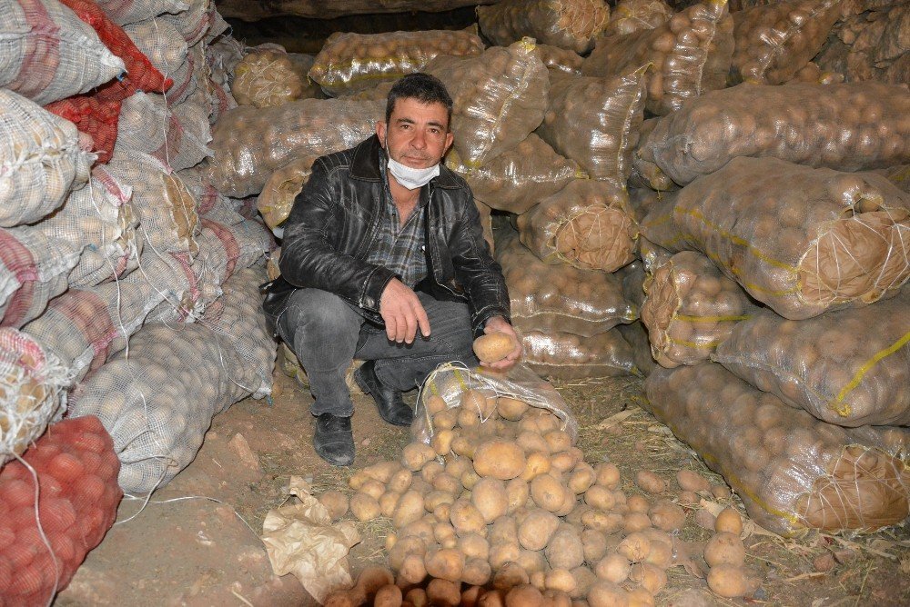 Patates Depolarda Alıcı Bekliyor