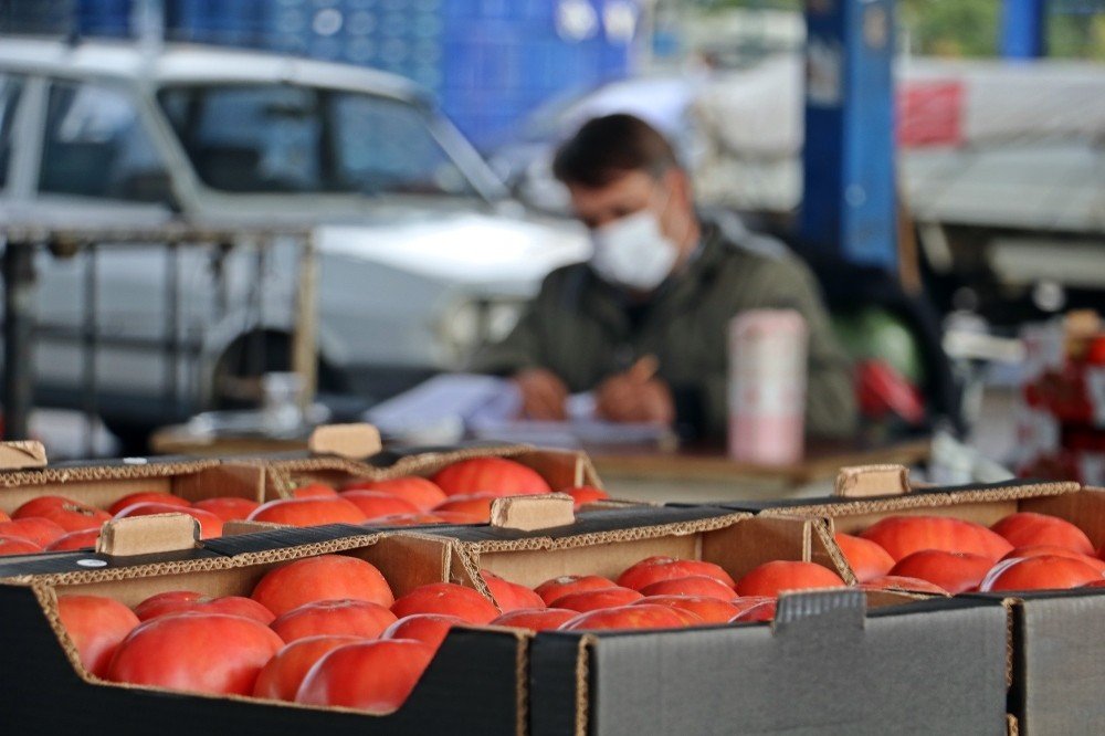 Domates İhracatı Yasağı Yeniden Gözden Geçirilsin