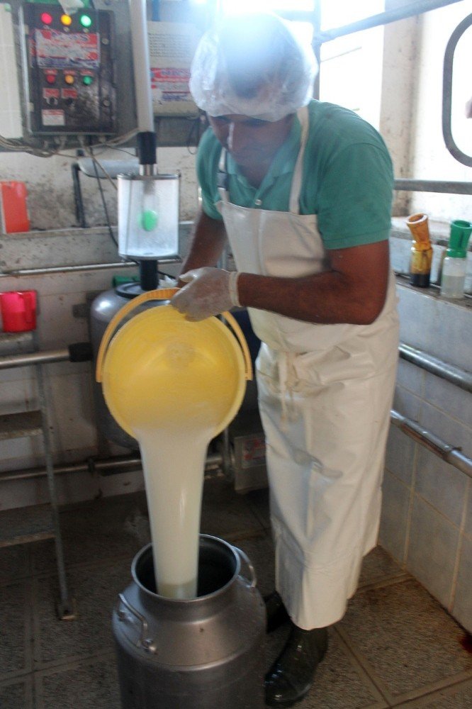 Üretici Açıklanan Çiğ Süt Fiyatlarını Olumlu Karşıladı